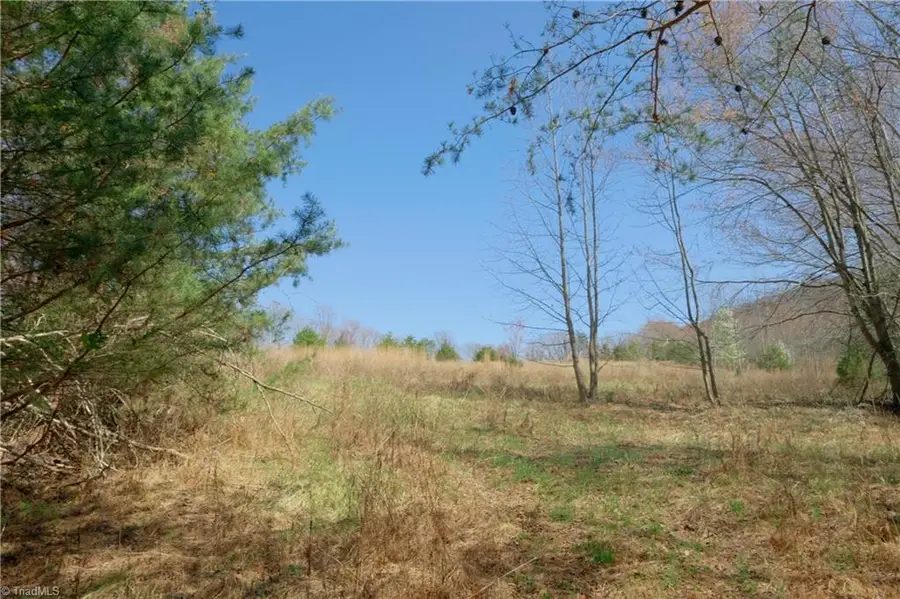 7 Old Mill Road, Pinnacle, NC 27043 - #2