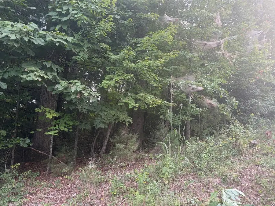 Lot 4 Edgewood Road, Wilkesboro, NC 28697 - #2