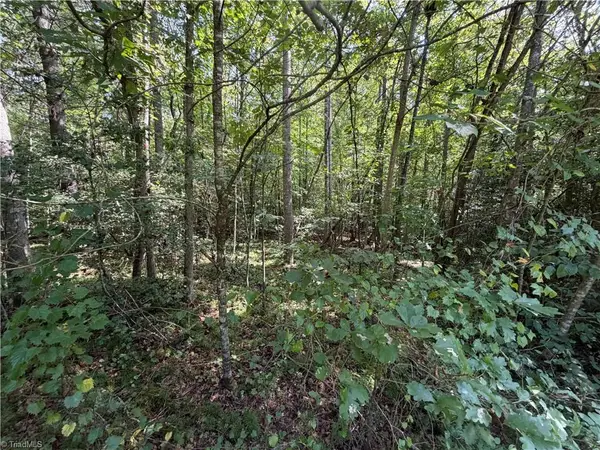 Lots 20 & 21 Zinzendorf Lane, Moravian Falls, NC 28654