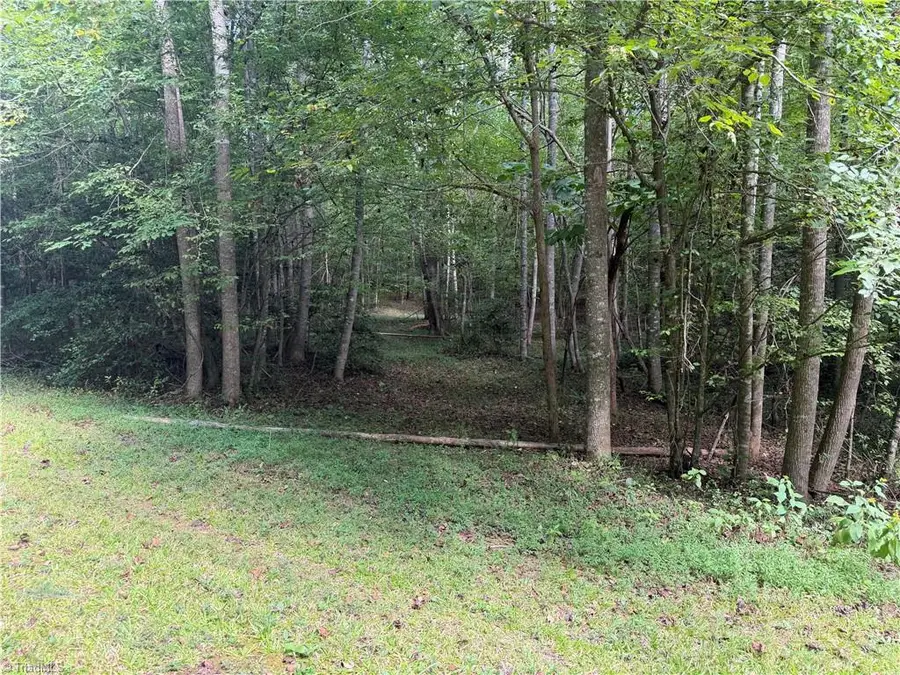 Lots 20 & 21 Zinzendorf Lane, Moravian Falls, NC 28654 - #2
