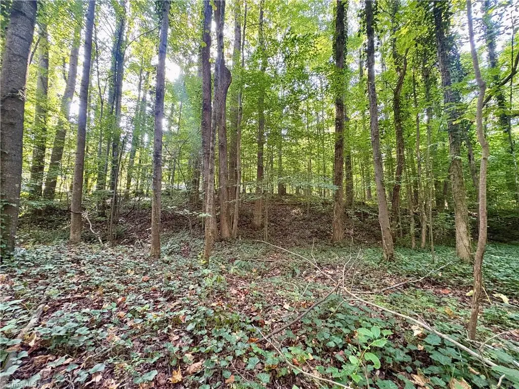 8101 Deverow Court, Lewisville, NC 27023 - #1