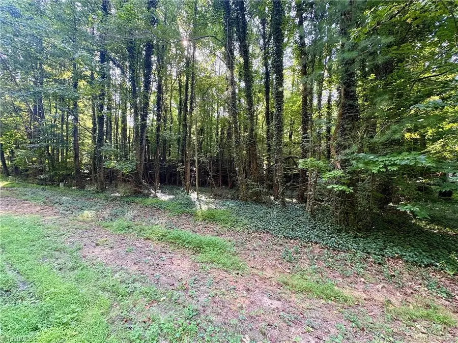 8101 Deverow Court, Lewisville, NC 27023 - #2