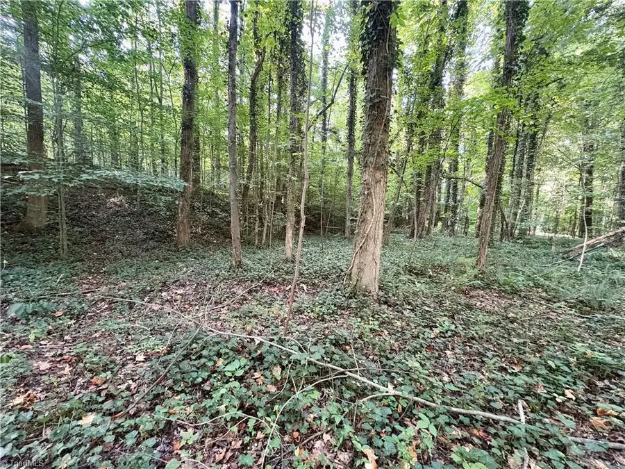 8101 Deverow Court, Lewisville, NC 27023 - #3