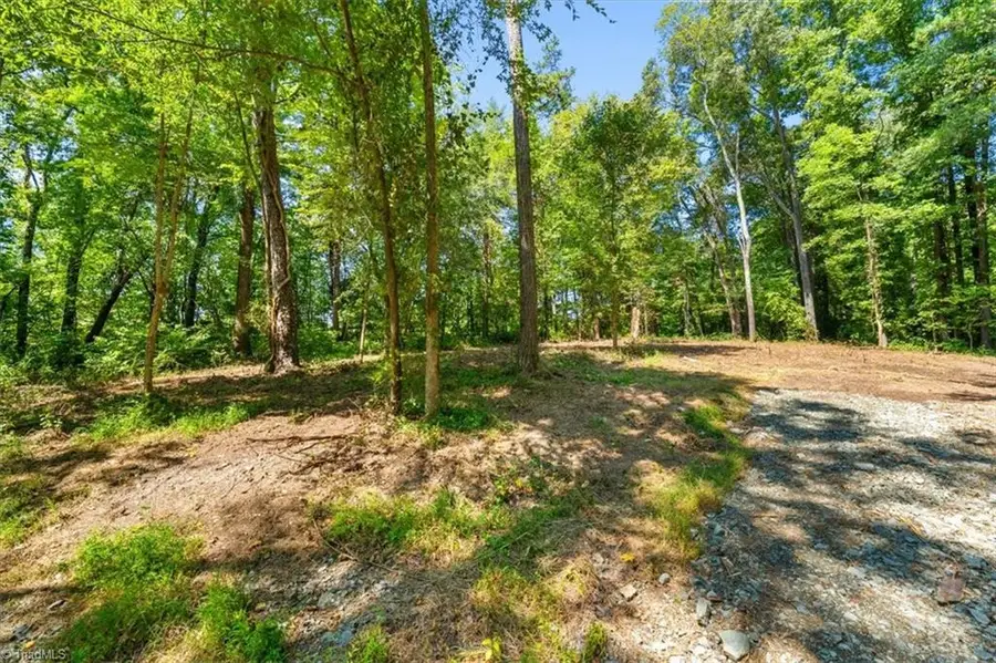 5833 Thacker Dairy Road, Whitsett, NC 27377 - #3