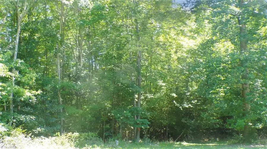 2581 Carl Allred Road, Franklinville, NC 27248 - #3