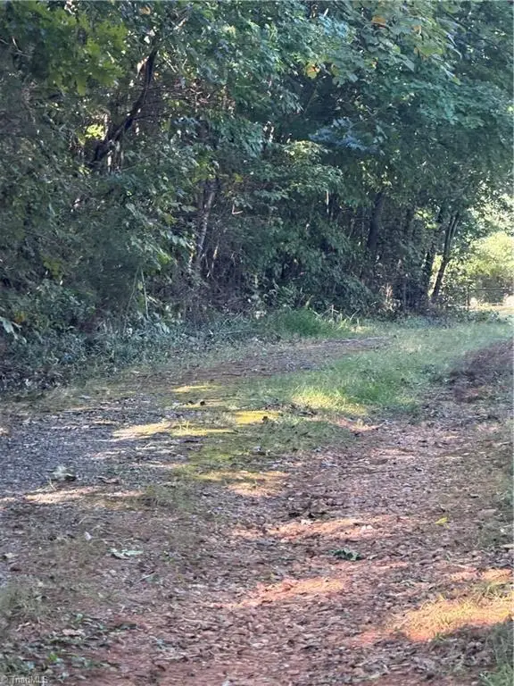 0 Soapstone Mountain Road, Liberty, NC 27298 - #2