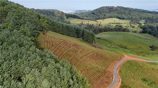 00 Lot 101 Irwin Grocery Road, Laurel Springs, NC 28644