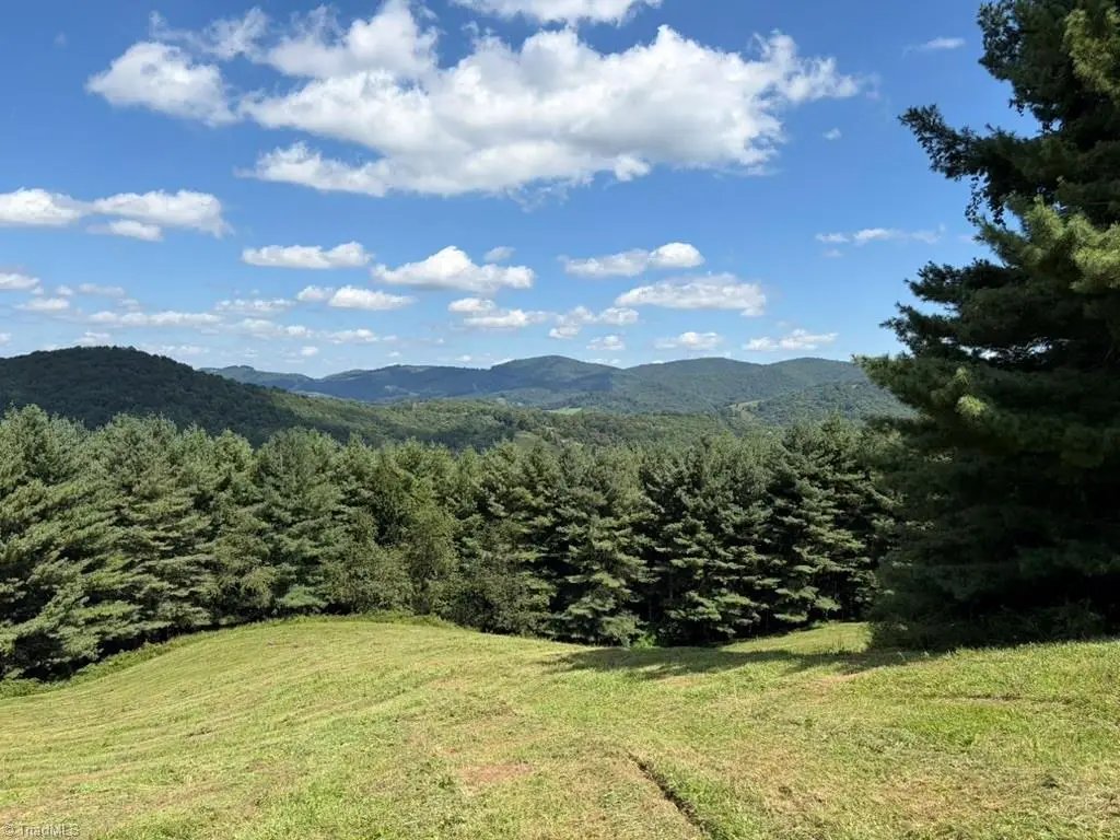 00 Lot 19 New Hope Church Road, Laurel Springs, NC 28644 - #1