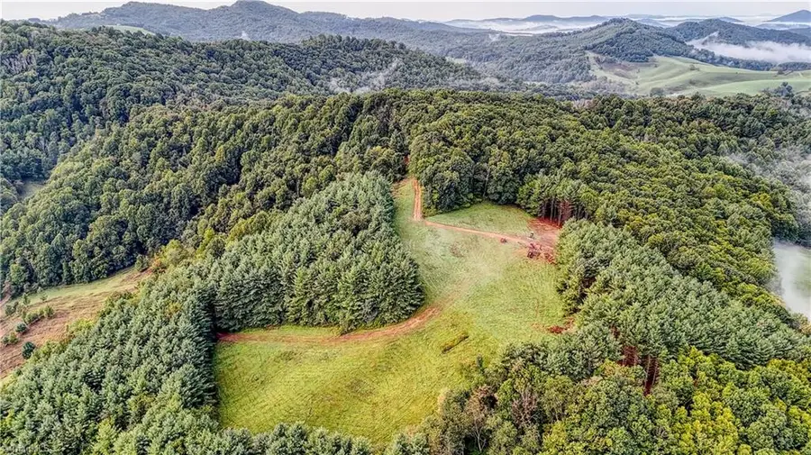 00 Lot 19 New Hope Church Road, Laurel Springs, NC 28644 - #3