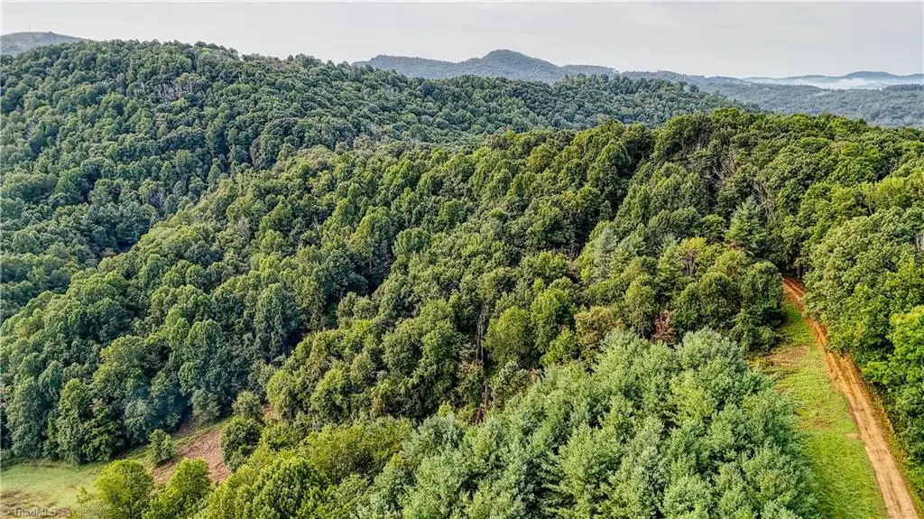 00 Lot 28 New Hope Church Road, Laurel Springs, NC 28644 - #1