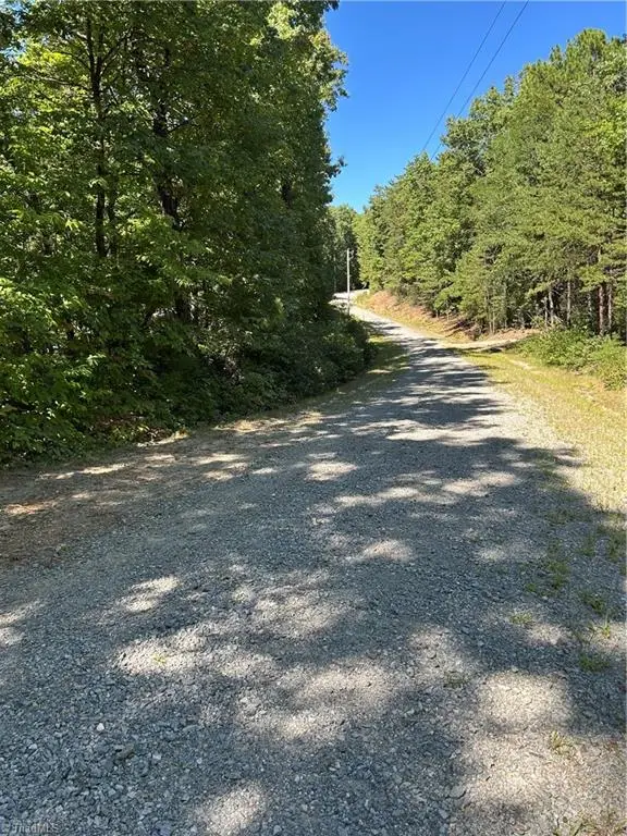 TBD Twin Branch Drive, Hays, NC 28635 - #2