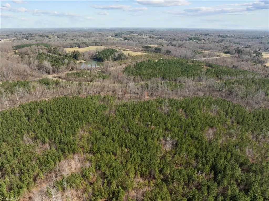 2646 Minden Road, Pleasant Garden, NC 27313 - #1