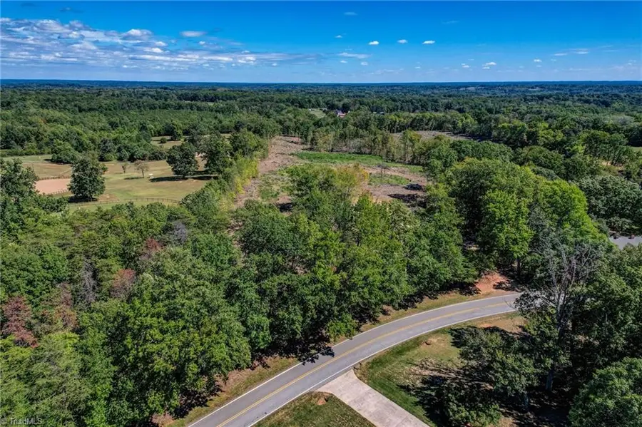 0 Wolf Island Road, Reidsville, NC 27320 - #2