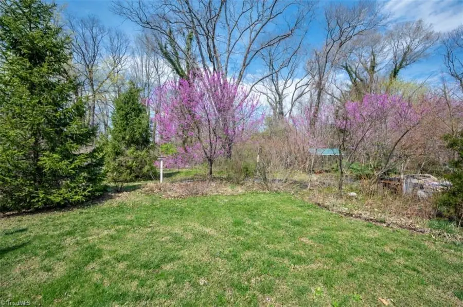 120 Rawley Avenue, Mount Airy, NC 27030 - #3