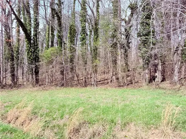 00 Ponderosa Road, Stoneville, NC 27048