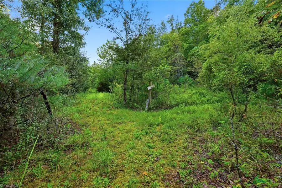 834 Germantown Road, Wilkesboro, NC 28697 - #3