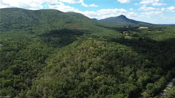 1541-1345 Nc Highway 89 W #Tract 1 - 97.86 ac, Danbury, NC 27016
