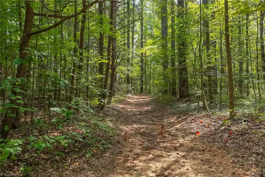 1960 Wilson Road, Linwood, NC 27299 - #3
