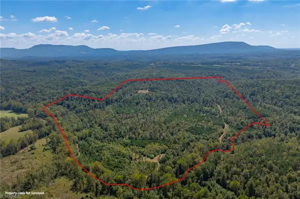 0 Wright Road, Westfield, NC 27053