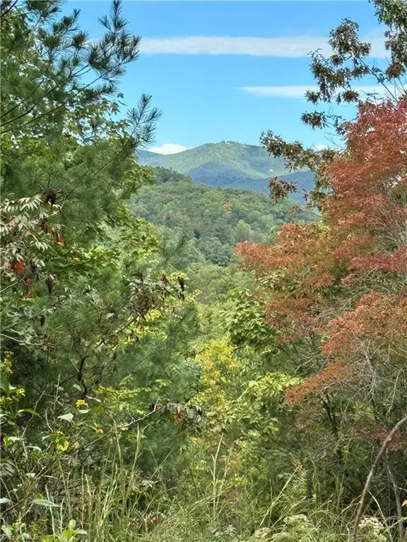 01 Cane Creek Church Road, McGrady, NC 28649 - #2