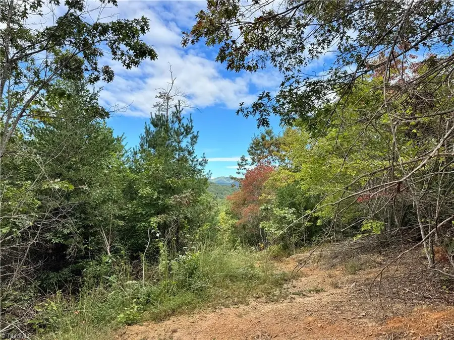 01 Cane Creek Church Road, McGrady, NC 28649 - #3