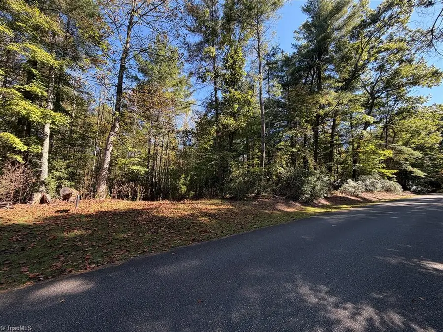 00 Lawrelyn Drive, Mount Airy, NC 27030 - #3