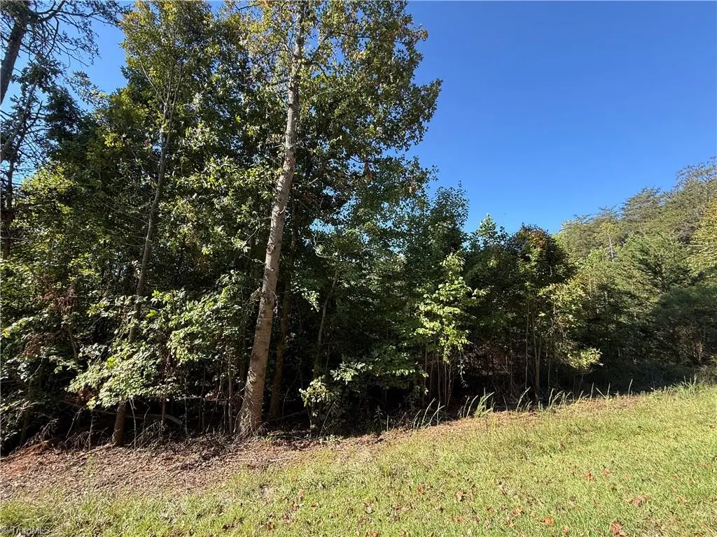 0 Cedar Forest Road, Franklinville, NC 27248 - #1