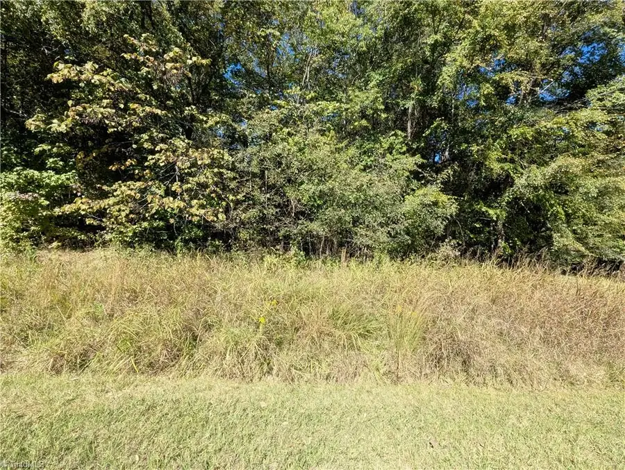 0 Lacey Court, Trinity, NC 27370 - #2