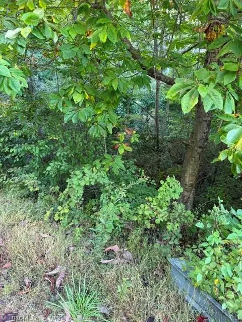 TBD Fishers Peak View, Ennice, NC 28623 - #3