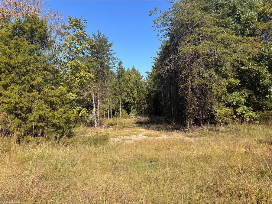 103 Dalton Loop, Stoneville, NC 27048 - #3
