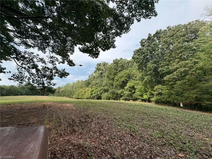6700 Lot 25+/- Acres Doral Drive, Tobaccoville, NC 27050 - #2