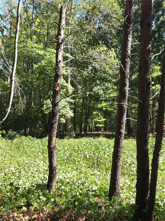 1075 Augusta Hicks Road, Walnut Cove, NC 27052 - #3