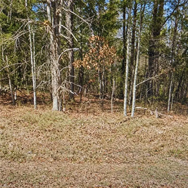Lt 11 Lynn Smith Road, Semora, NC 27343 - #1