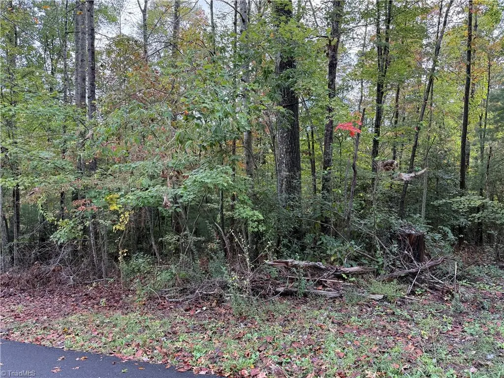 0 Kizer Street, Mount Airy, NC 27030 - #1