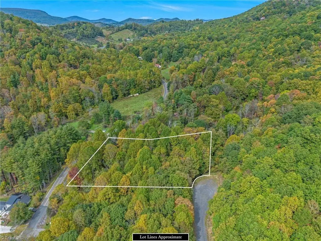 Lot 1 Red Sleigh Way, Fleetwood, NC 28626 - #1