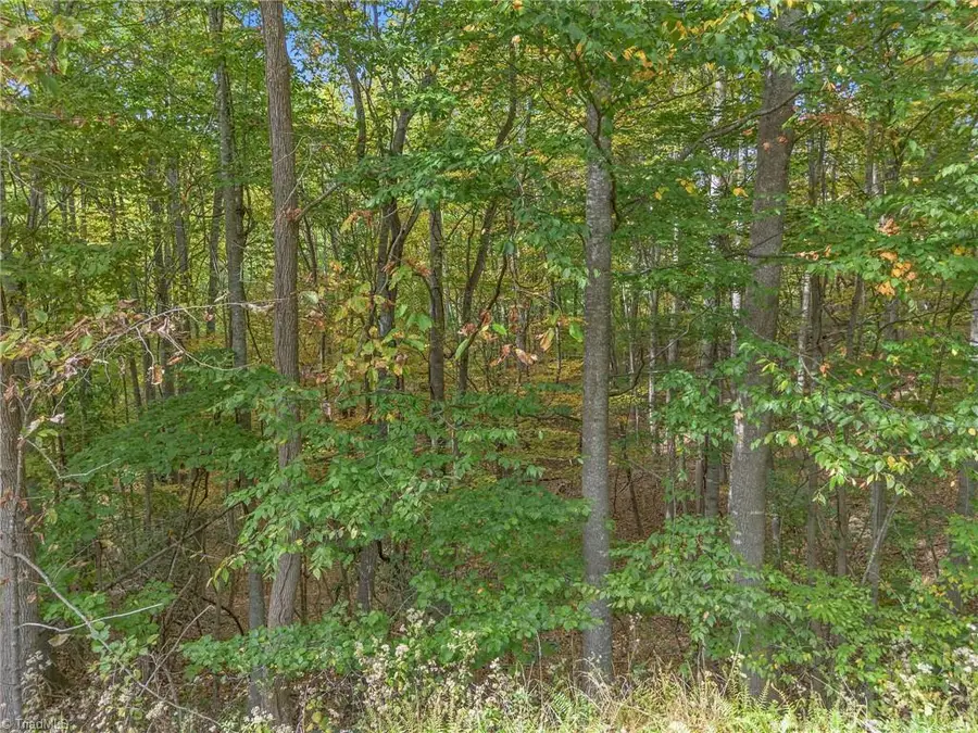 Lot 1 Red Sleigh Way, Fleetwood, NC 28626 - #3