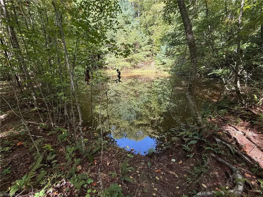 TBD Casey Mountain Road, Purlear, NC 28665 - #2