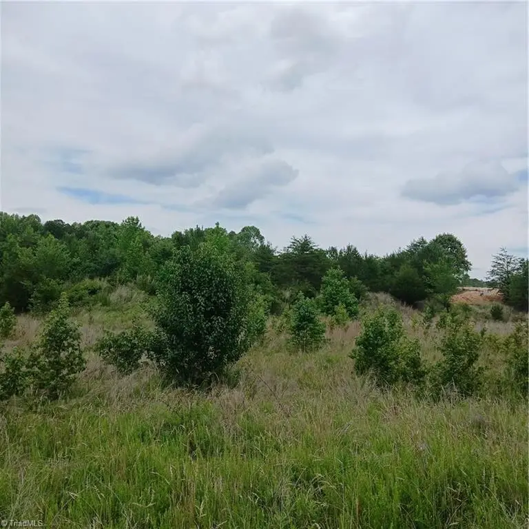 1133 Springfield Road, High Point, NC 27263 - #1