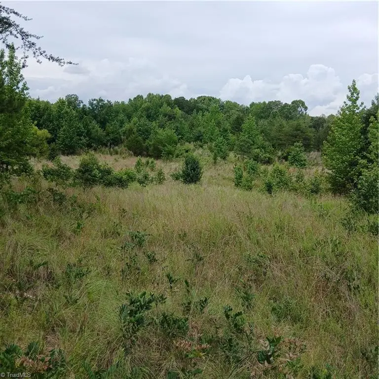 1133 Springfield Road, High Point, NC 27263 - #2