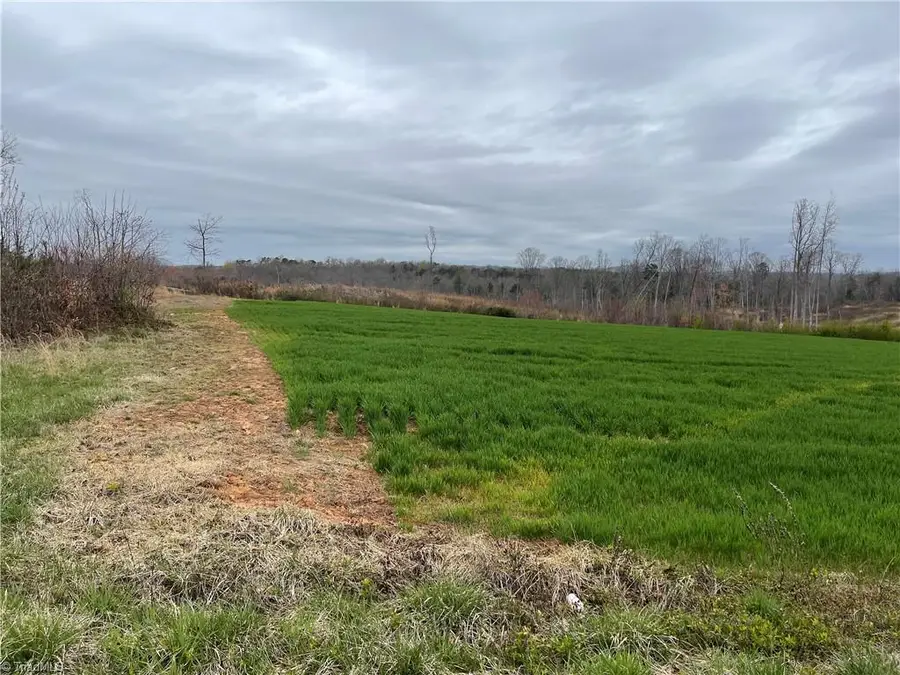 Lot 3 Eldora Road, Ararat, NC 27007 - #3