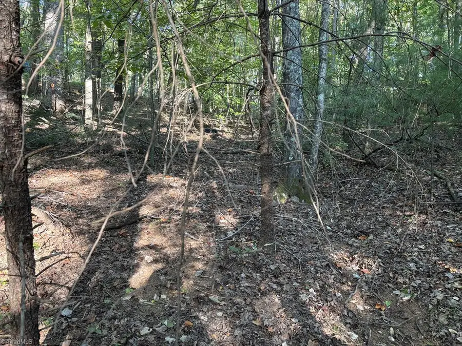 00 Smith Lane, Cana, VA 24317 - #3