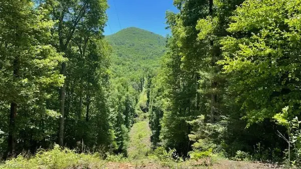 1629 White Rock Road, Cullowhee, NC 28723