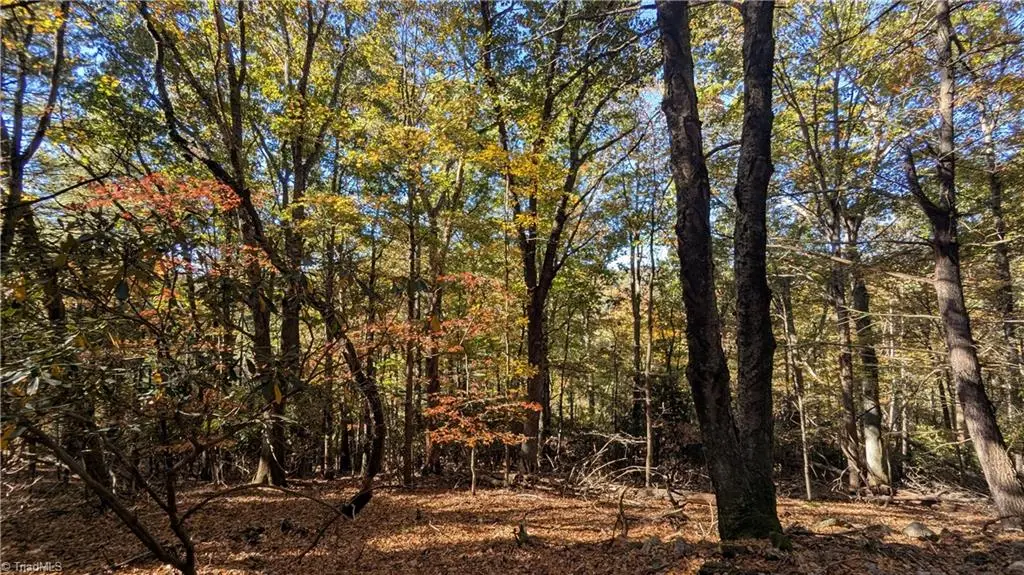 000 Nc Highway 16 S, Jefferson, NC 28640 - #1