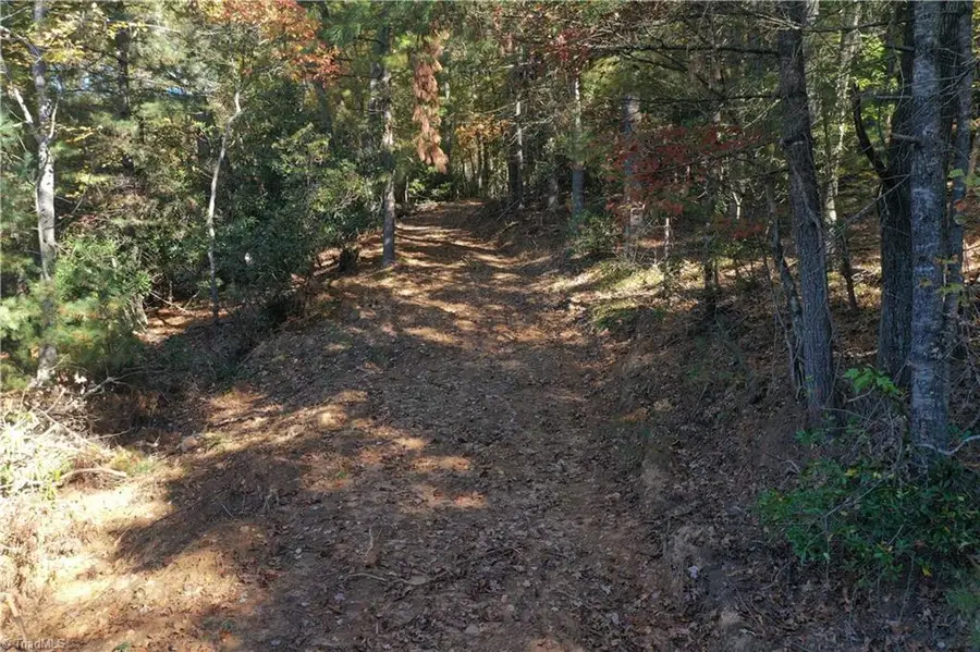 000 Nc Highway 16 S, Jefferson, NC 28640 - #2