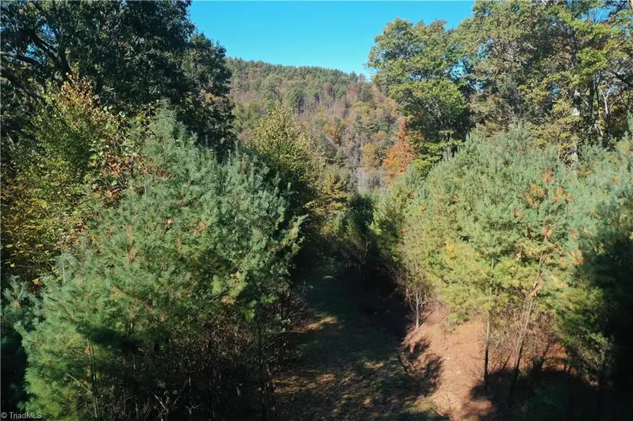 000 Nc Highway 16 S, Jefferson, NC 28640 - #3
