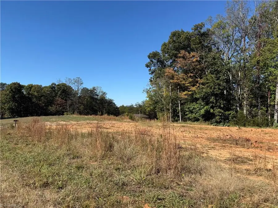 1130 Stokes Grading Drive, Germanton, NC 27019 - #2
