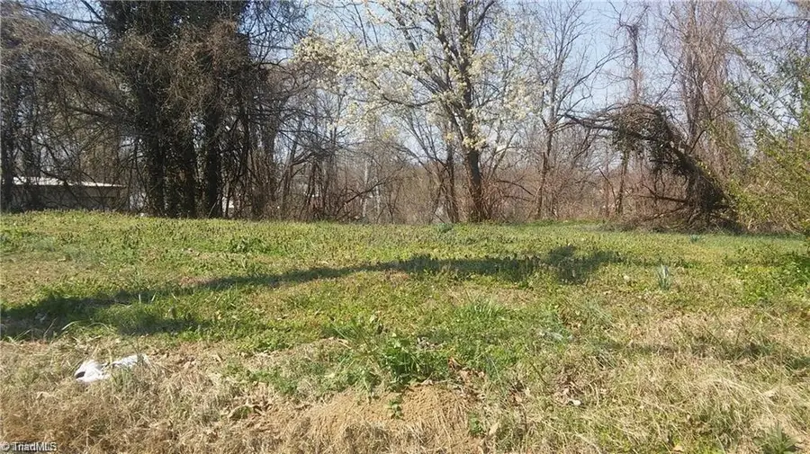 106 Carolina Avenue, Thomasville, NC 27360 - #3