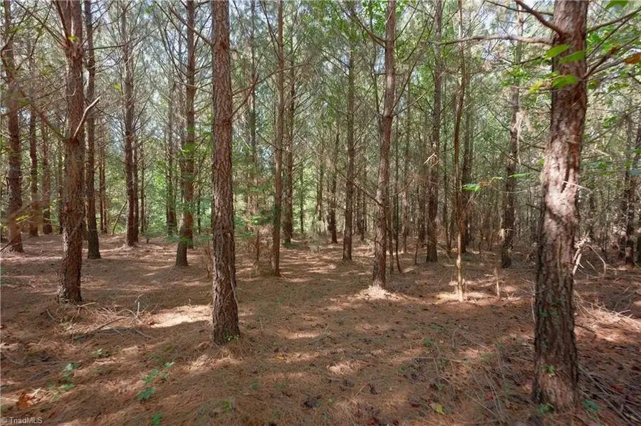 15 Morrison Road, Morganton, NC 28655 - #3