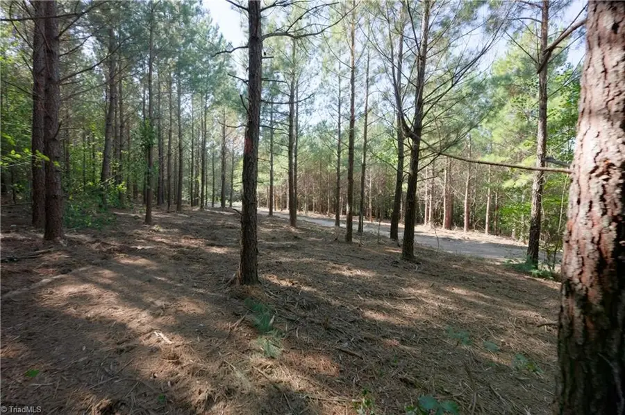16 Morrison Road, Morganton, NC 28655 - #2