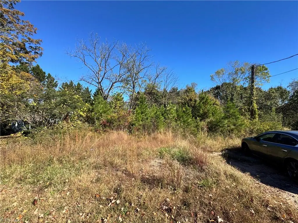 703 Pleasant Hill Drive, Elkin, NC 28621 - #1